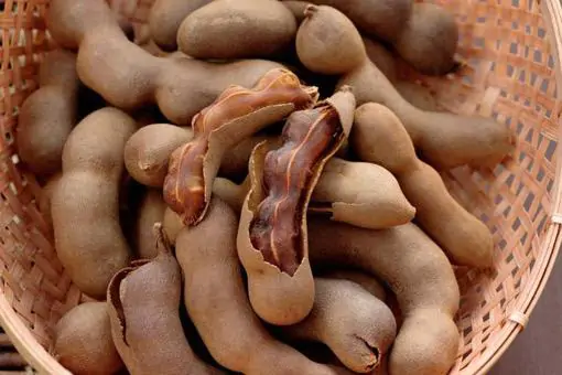 থাইল্যান্ডের মিষ্টি তেতুল [225g] - Image 2